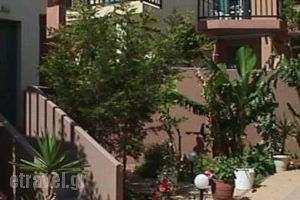 Pelamare_best prices_in_Hotel_Crete_Heraklion_Vathianos Kambos
