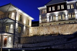 Arktos Mountain Hotel_best deals_Hotel_Epirus_Ioannina_Ioannina City