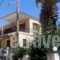 Fenareti Apartments_accommodation_in_Apartment_Aegean Islands_Lesvos_Eressos