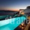 Elite Luxury Suites_accommodation_in_Hotel_Cyclades Islands_Sandorini_Oia