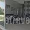 Reveli Estate_holidays_in_Hotel_Crete_Chania_Fournes