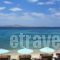 Hippie Chic Hotel_best prices_in_Hotel_Cyclades Islands_Mykonos_Agios Ioannis