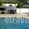 Turtle Beach Villa_best prices_in_Villa_Ionian Islands_Kefalonia_Kefalonia'st Areas