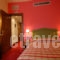 Hotel Elvetia_accommodation_in_Hotel_Central Greece_Evritania_Karpenisi