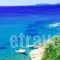 Villa Erotiki_best deals_Villa_Cyclades Islands_Andros_Andros City