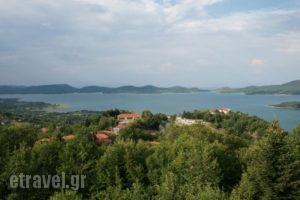 Thea Guesthouse_lowest prices_in_Hotel_Thessaly_Karditsa_Neochori
