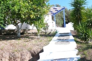 Stefanos Garden_accommodation_in_Hotel_Crete_Chania_Fournes