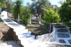 Stefanos Garden_travel_packages_in_Crete_Chania_Fournes