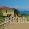 Alexandros Apartments_accommodation_in_Apartment_Thessaly_Magnesia_Pilio Area
