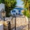 Villa Kelly Apartments_holidays_in_Villa_Cyclades Islands_Naxos_Naxos Chora