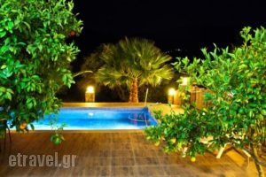 Villa Domenico_holidays_in_Villa_Crete_Chania_Sfakia