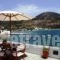 Archipelago Seaside Apartments_holidays_in_Apartment_Cyclades Islands_Sifnos_Vathy
