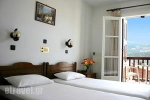 Anthousa_accommodation_in_Hotel_Aegean Islands_Samos_Samos Chora