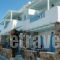 Studios Amfitriti_lowest prices_in_Apartment_Cyclades Islands_Serifos_Livadi