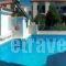 Labros_lowest prices_in__Aegean Islands_Samos_Kokkari