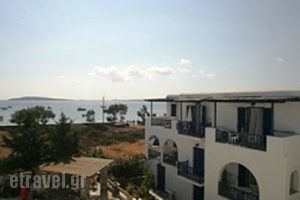 Evangelia_holidays_in_Apartment_Cyclades Islands_Paros_Alyki
