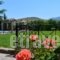 Villas Elpiniki_best prices_in_Villa_Aegean Islands_Lesvos_Mythimna (Molyvos)