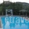 Villas Elpiniki_holidays_in_Villa_Aegean Islands_Lesvos_Mythimna (Molyvos)