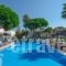 Alkyoni Beach Hotel_holidays_in_Hotel_Cyclades Islands_Naxos_Naxos chora