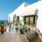 Panorama Apartments_lowest prices_in_Apartment_Aegean Islands_Lesvos_Plomari