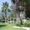 Villa Angela_holidays_in_Villa_Ionian Islands_Lefkada_Vasiliki