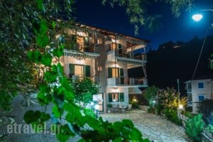 Nikoleta Studios_lowest prices_in_Hotel_Ionian Islands_Lefkada_Lefkada Chora