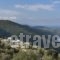 Atrium Villas_best deals_Villa_Sporades Islands_Skiathos_Skiathoshora