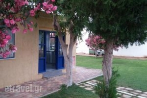 Blue Sky Apartments_lowest prices_in_Apartment_Crete_Heraklion_Malia