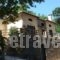 Vergopoulou Oliveyard_lowest prices_in_Hotel_Thessaly_Magnesia_Agios Georgios Nilias