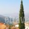 Castri Hotel_lowest prices_in_Hotel_Central Greece_Fokida_Delfi