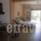 Agathi_best deals_Apartment_Ionian Islands_Lefkada_Sivota