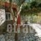 Dimarion Villas_lowest prices_in_Villa_Ionian Islands_Lefkada_Lefkada Rest Areas