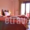 Apartments Petrochori Villas_lowest prices_in_Villa_Crete_Rethymnon_Plakias
