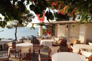 Agistri Club Hotel_holidays_in_Hotel_Piraeus Islands - Trizonia_Agistri_Agistri Chora