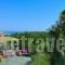 Konstantina Studios_best deals_Hotel_Sporades Islands_Skopelos_Skopelos Chora
