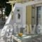 Leonardos Apartments_best deals_Apartment_Cyclades Islands_Paros_Naousa