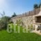 Villa Irene & Villa Sylvia_holidays_in_Villa_Crete_Rethymnon_Rethymnon City
