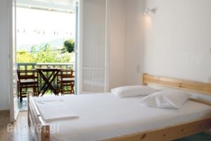 Elena Rooms_accommodation_in_Room_Ionian Islands_Lefkada_Lefkada's t Areas