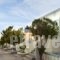 Kanelis Studios_lowest prices_in_Hotel_Cyclades Islands_Milos_Milos Chora