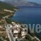 Dimitris Studios_accommodation_in_Hotel_Ionian Islands_Kefalonia_Kefalonia'st Areas