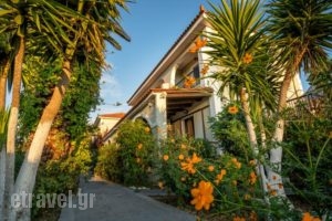 Tota Studios_best deals_Hotel_Ionian Islands_Zakinthos_Zakinthos Rest Areas