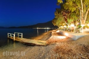 Dimitris Studios_best prices_in_Hotel_Ionian Islands_Kefalonia_Kefalonia'st Areas