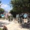 Something Else_holidays_in_Hotel_Cyclades Islands_Naxos_Agia Anna