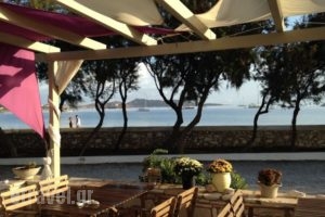 Almira Suites_accommodation_in_Hotel_Cyclades Islands_Paros_Paros Chora