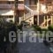 Harama Guesthouse_lowest prices_in_Hotel_Macedonia_Pella_Aridea