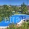 Jasmine Apartments_holidays_in_Apartment_Ionian Islands_Corfu_Afionas