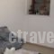 Holiday Home Andros Island C. With A Fireplace 03_lowest prices_in_Hotel_Cyclades Islands_Andros_Andros City