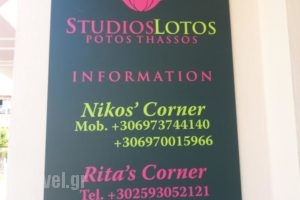 Studios Lotos_accommodation_in_Hotel_Aegean Islands_Thasos_Thasos Chora