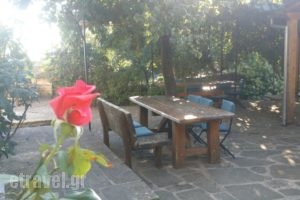 Dias Guesthouse_travel_packages_in_Epirus_Ioannina_Papiggo