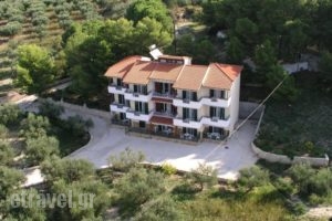 Almyros Studios & Apartments_accommodation_in_Apartment_Ionian Islands_Kefalonia_Kefalonia'st Areas